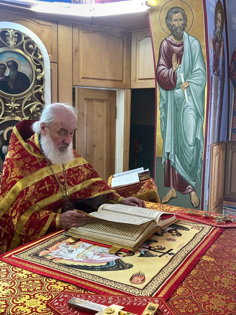 В 6-ую неделю по Пасхе , о слепом в храме святителя Димитрия митрополита Ростовского